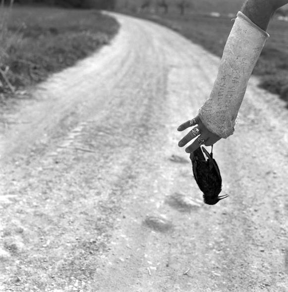 62fb8a3ffa703afee48c8d8b8c16b8b0