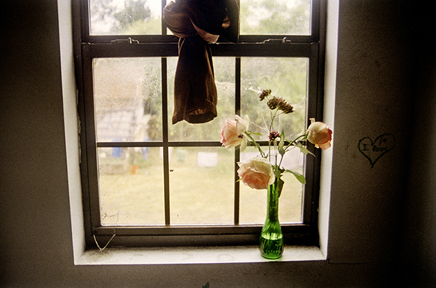 Bloomfield, California, USA, Fall 2012.