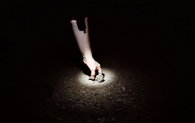 Fort Collins, Colorado, USA, Summer 2011.