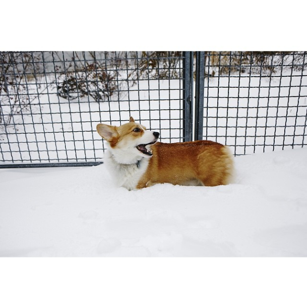 Ben Rayner, photographer