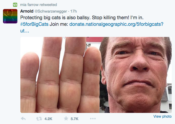 Screen shot 2015-07-30 at 11.17.47