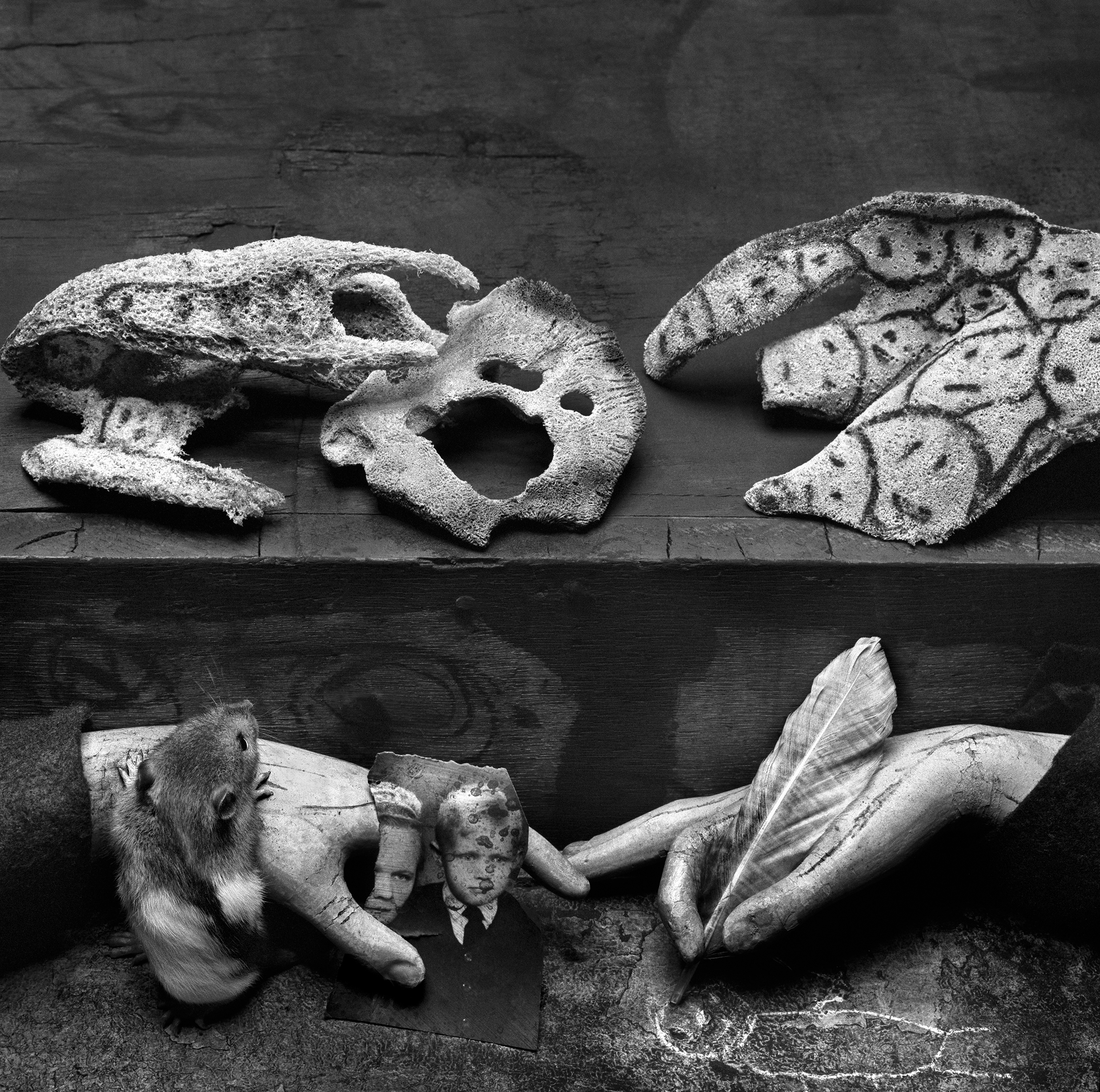 Provocative photographer Roger Ballen delves into the abyss of… | Huck