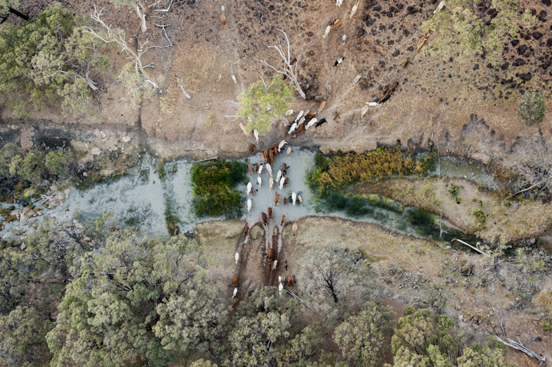 BRJC_CattleStations_LowResEdit (27 of 60)