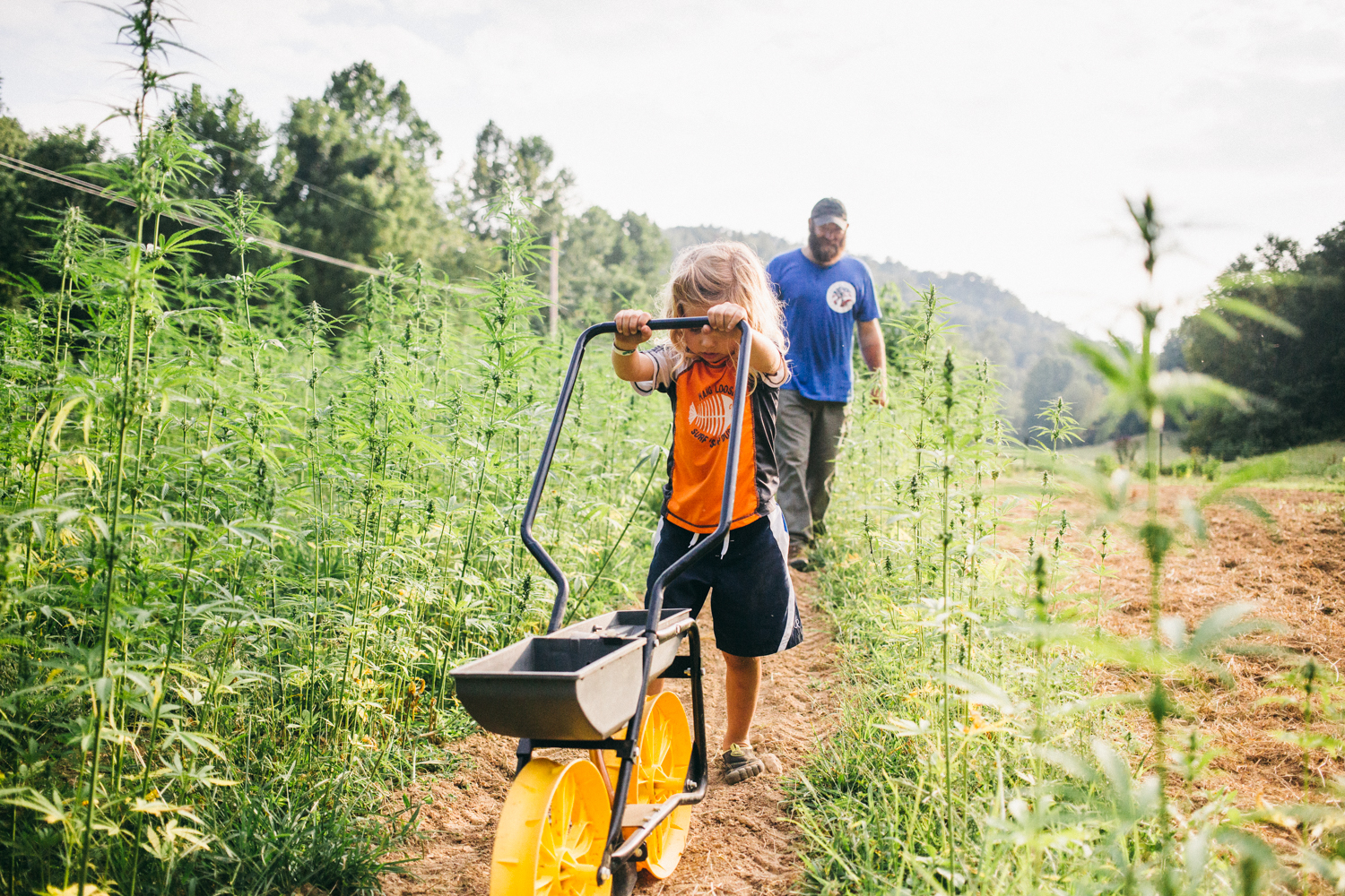 Taken by D.Hedden 2015