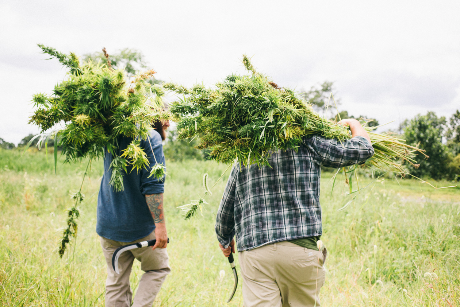 Taken by D.Hedden 2015