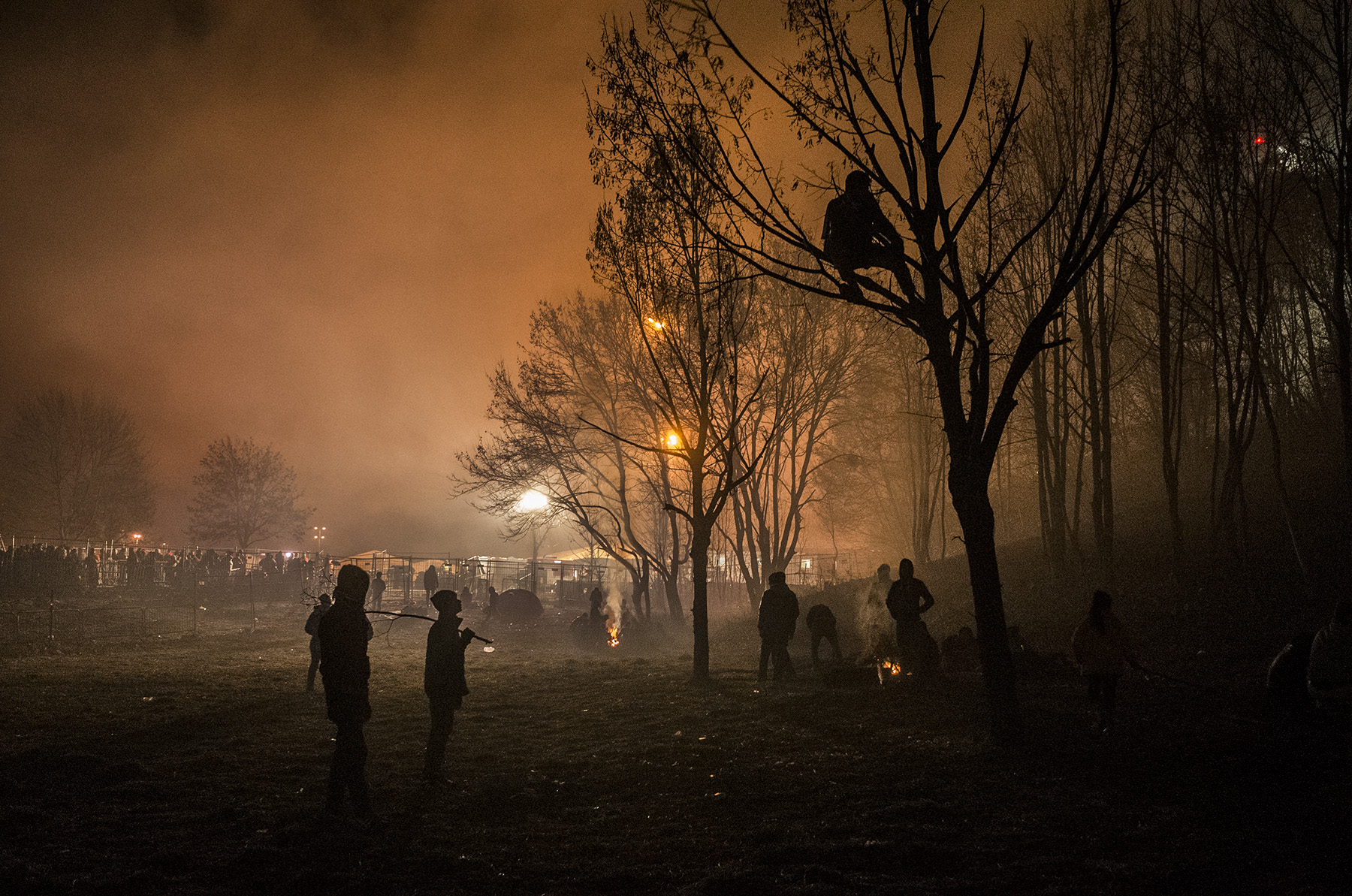 Šentilj, Slovenia, November 2015. After hours of waiting, groups of people move into a nearby field and use tree branches to make fires and keep warm.