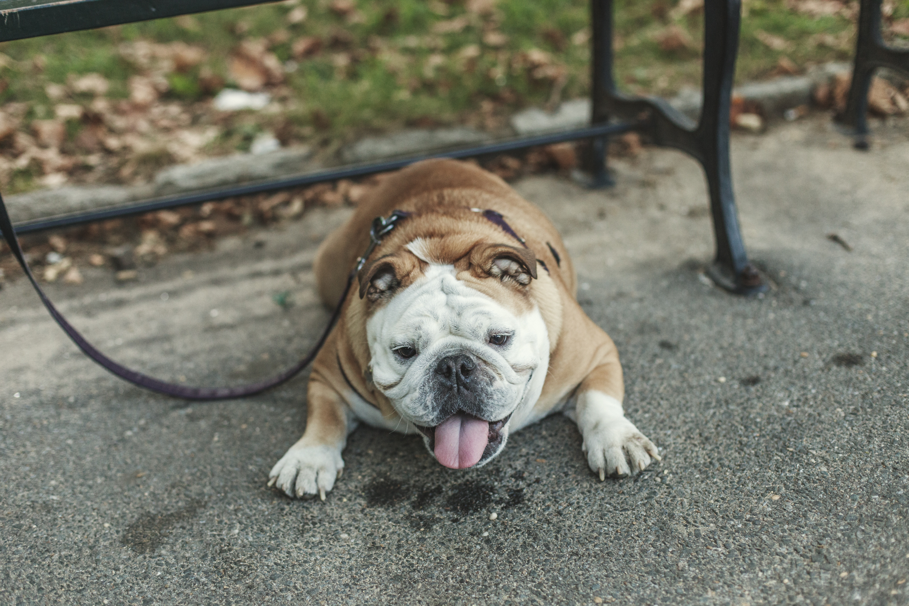 Christopher_Bethell-1