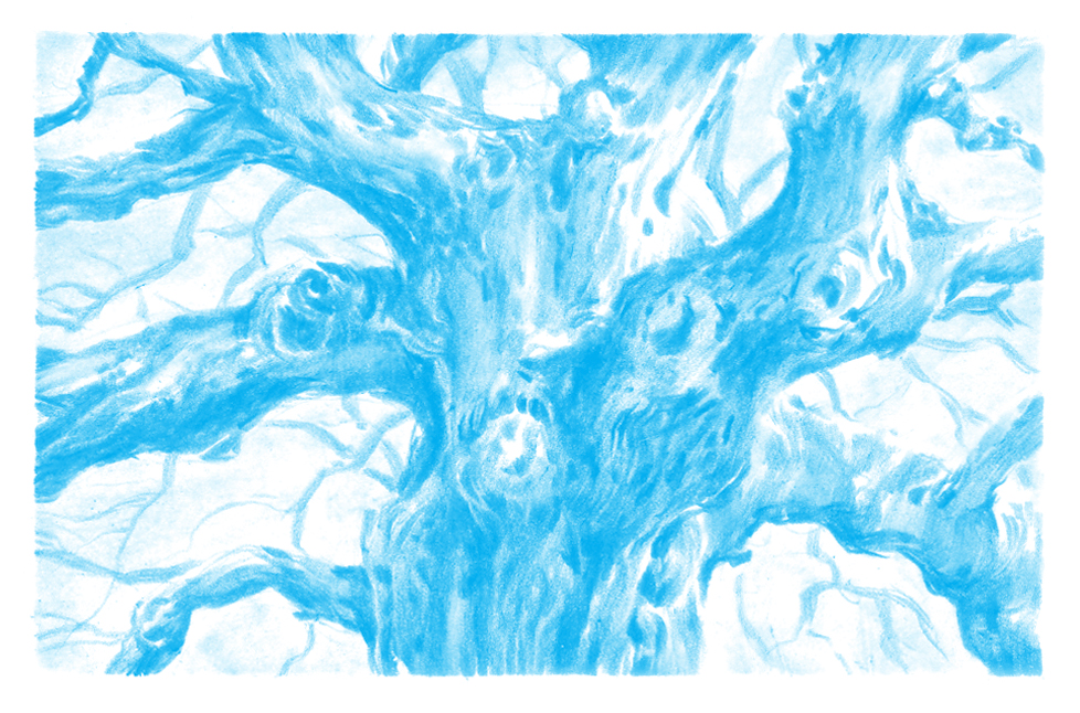 IanMackaye spot 2_blue