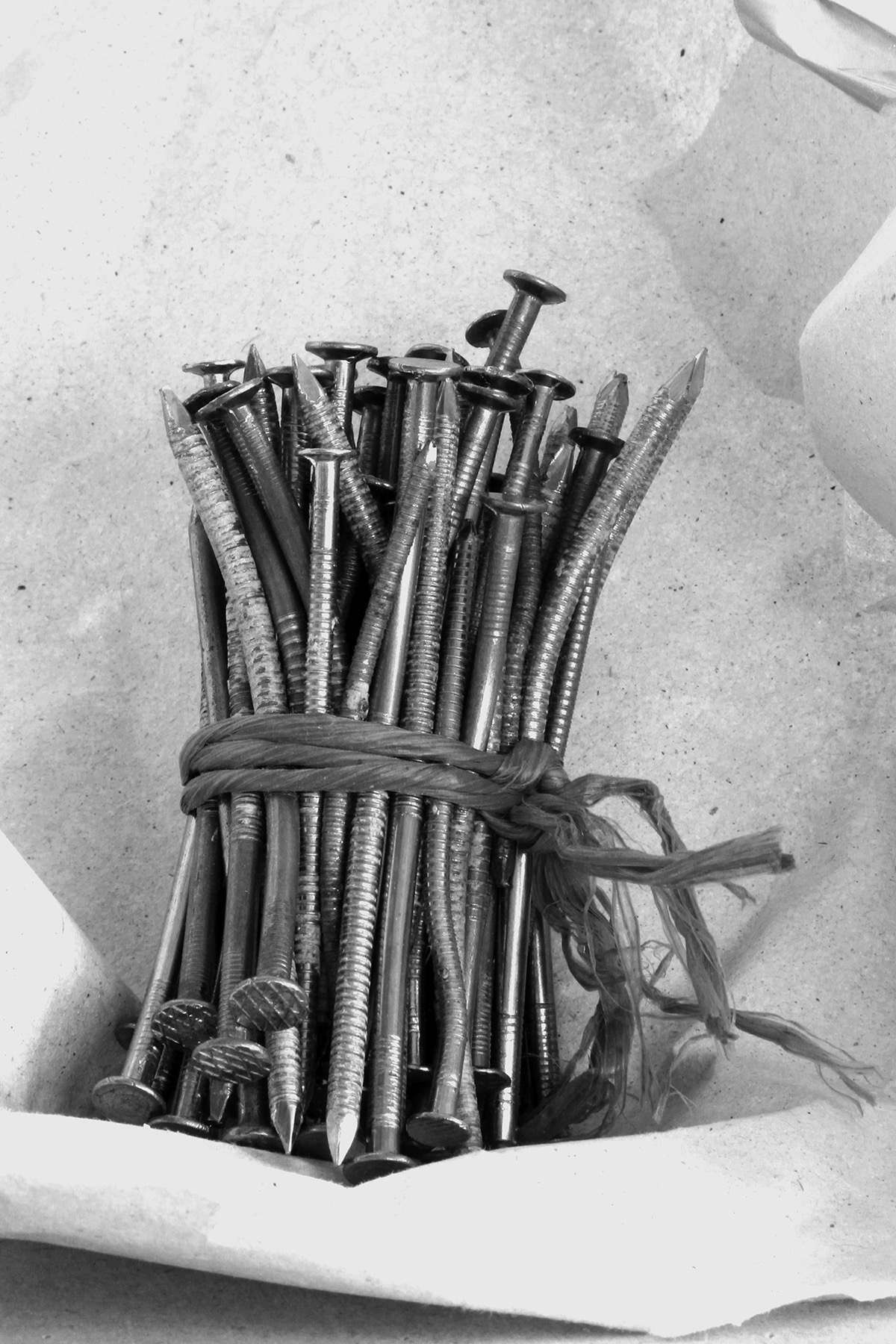 from 'The Epic Love Story of a Warrior' by Peter Puklus