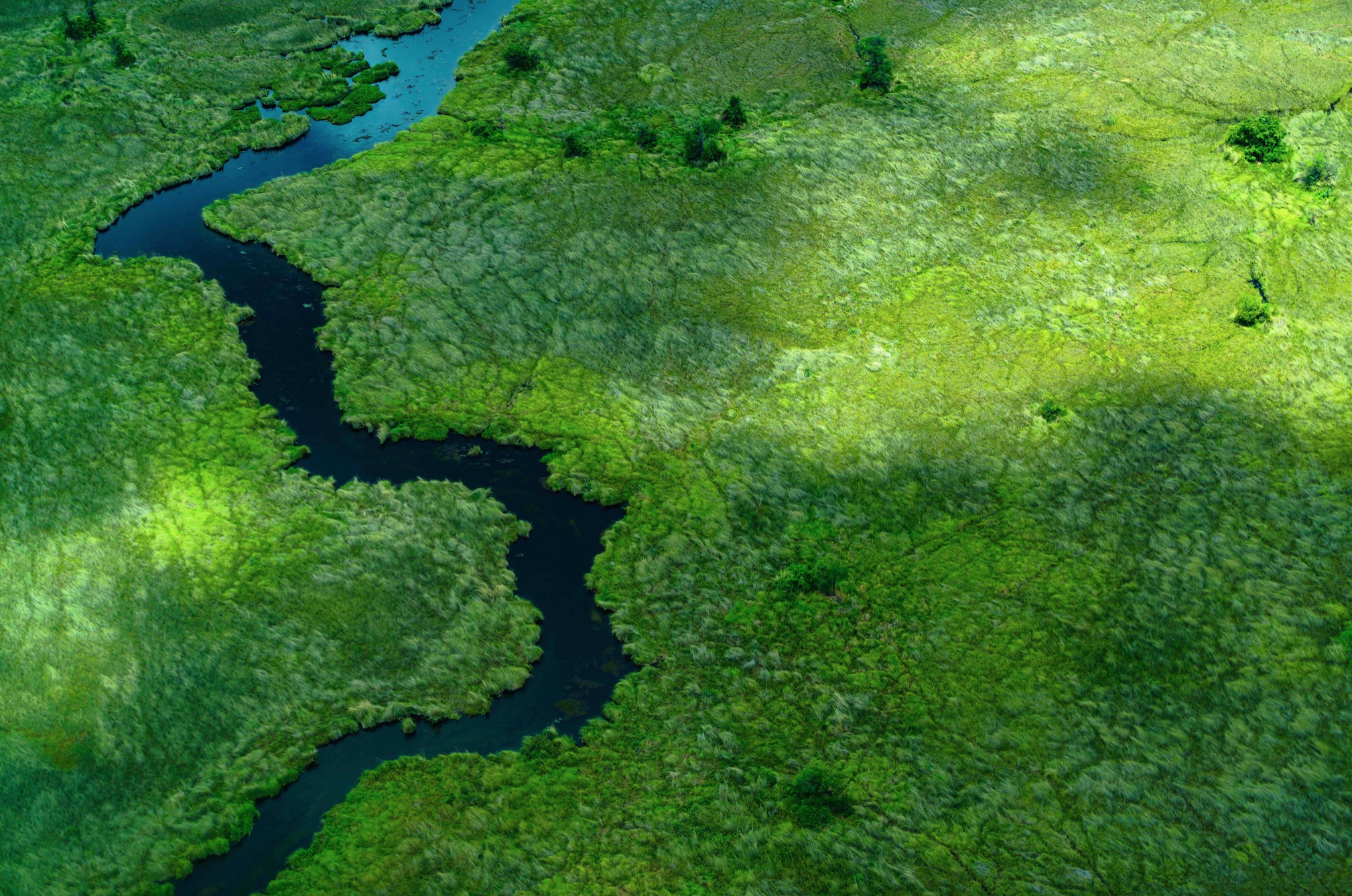 Photo by Daniel Burton. This photograph was taken in January 2016 and features a bird’s-eye view of the approach to the Moremi Game Reserve in Botswana’s Okavango Delta region. Moremi is cut off from the remainder of the Delta and travel to and from its lodges requires transit by light aircraft or helicopter. The shot was taken from a Cessna plane and shows one of the many ephemeral tributaries of the Okavango basin which snake through the landscape following the annual discharge of rain from the Angolan highlands.