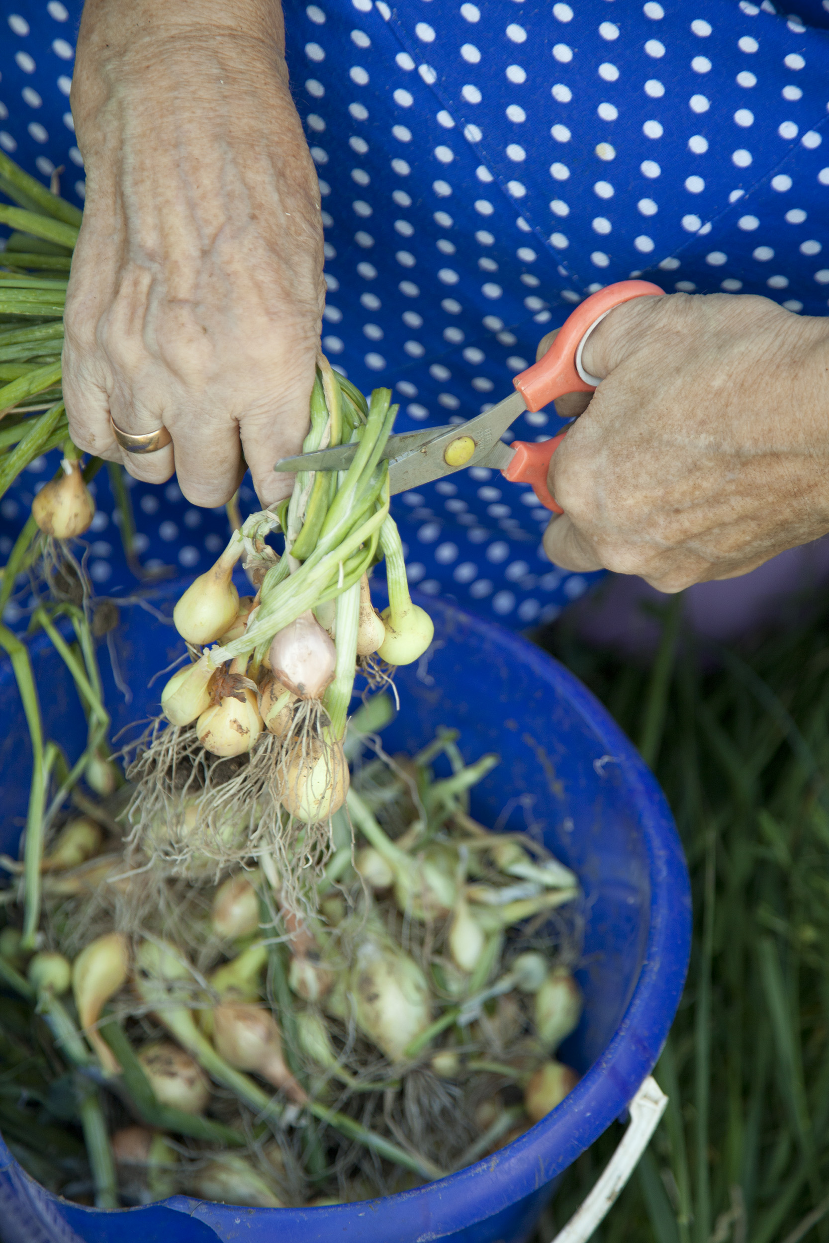 Armbruster_Russia_14