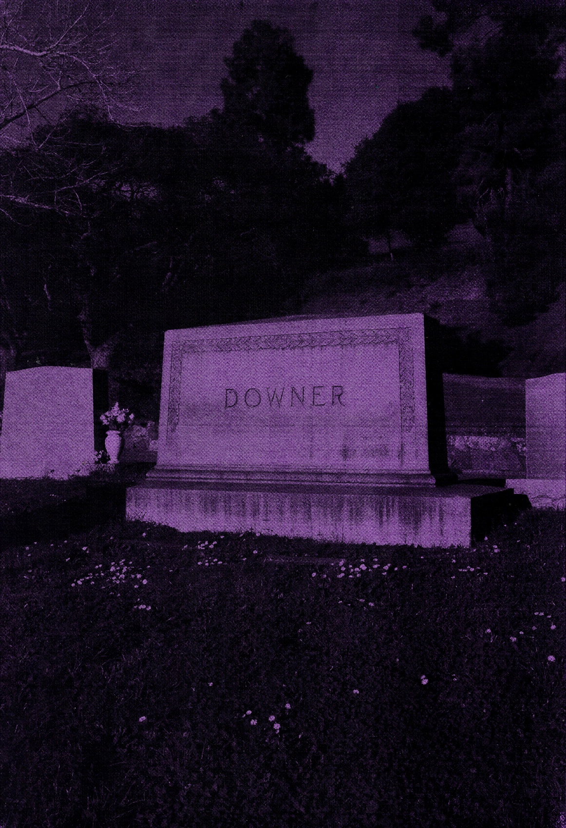 DOWNER_GRAVE_PURPLE_1