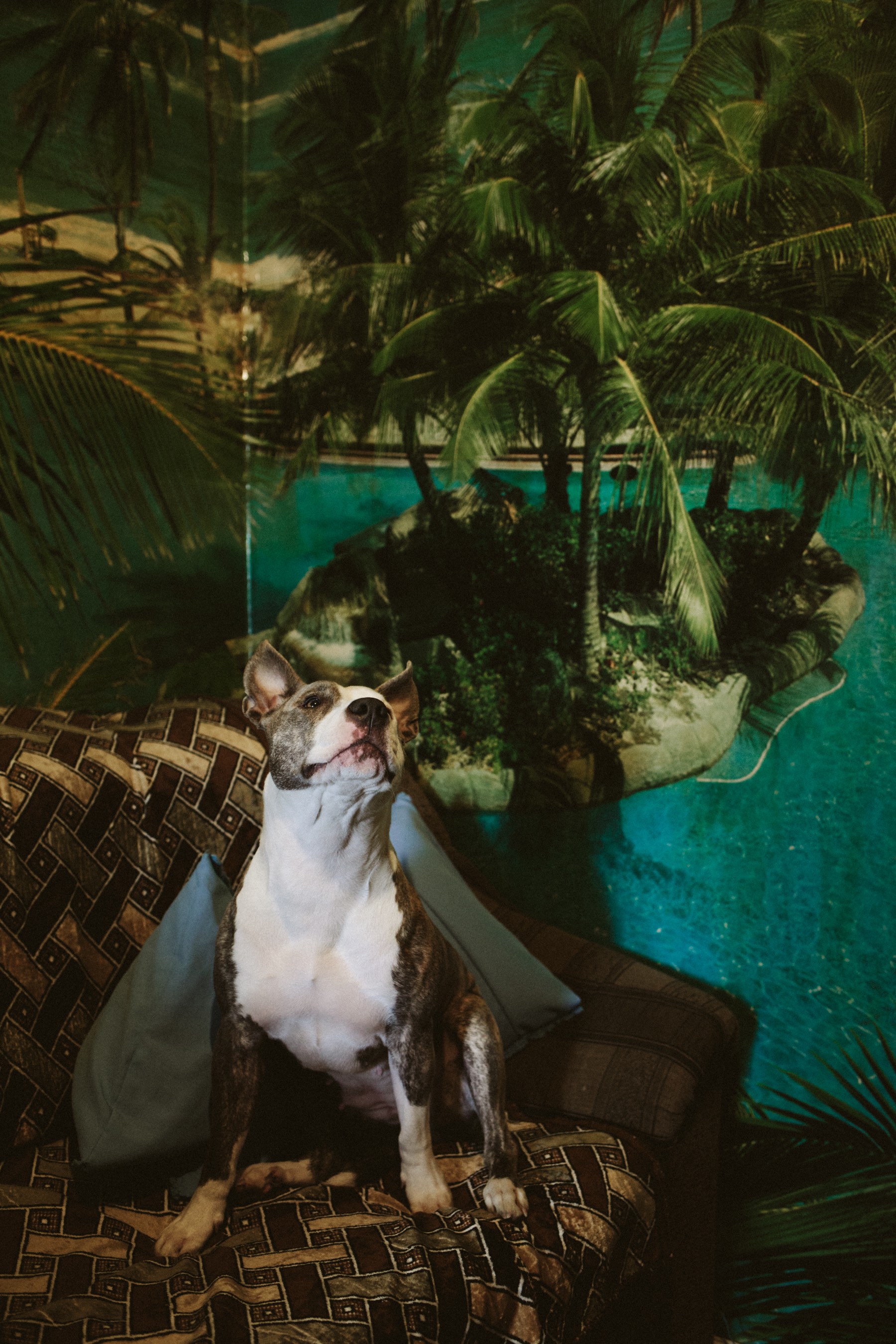 Ayla, Kalsuh, Ivano-Frankivsk region, November 2013