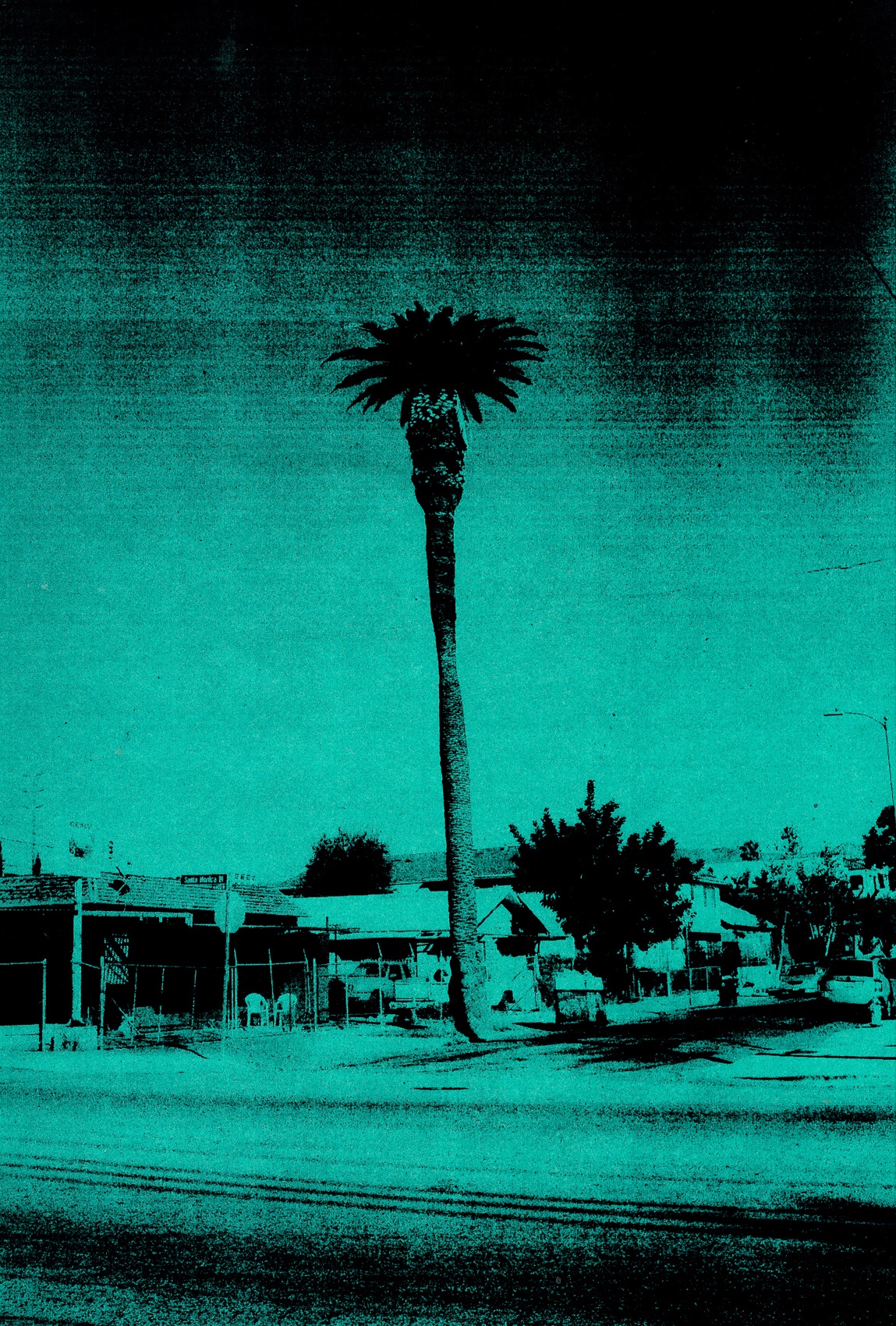 PALM_LA_GREEN_1