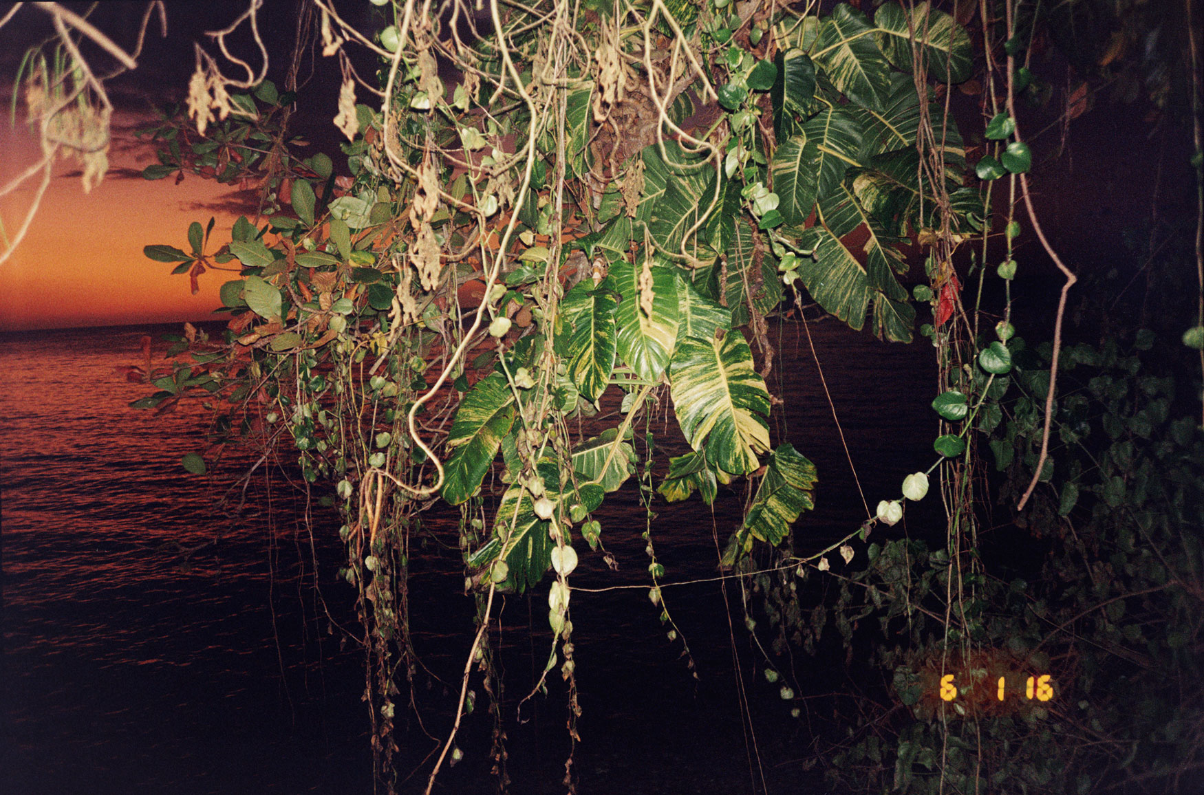 Ivar-Wigan_Sunset_2016