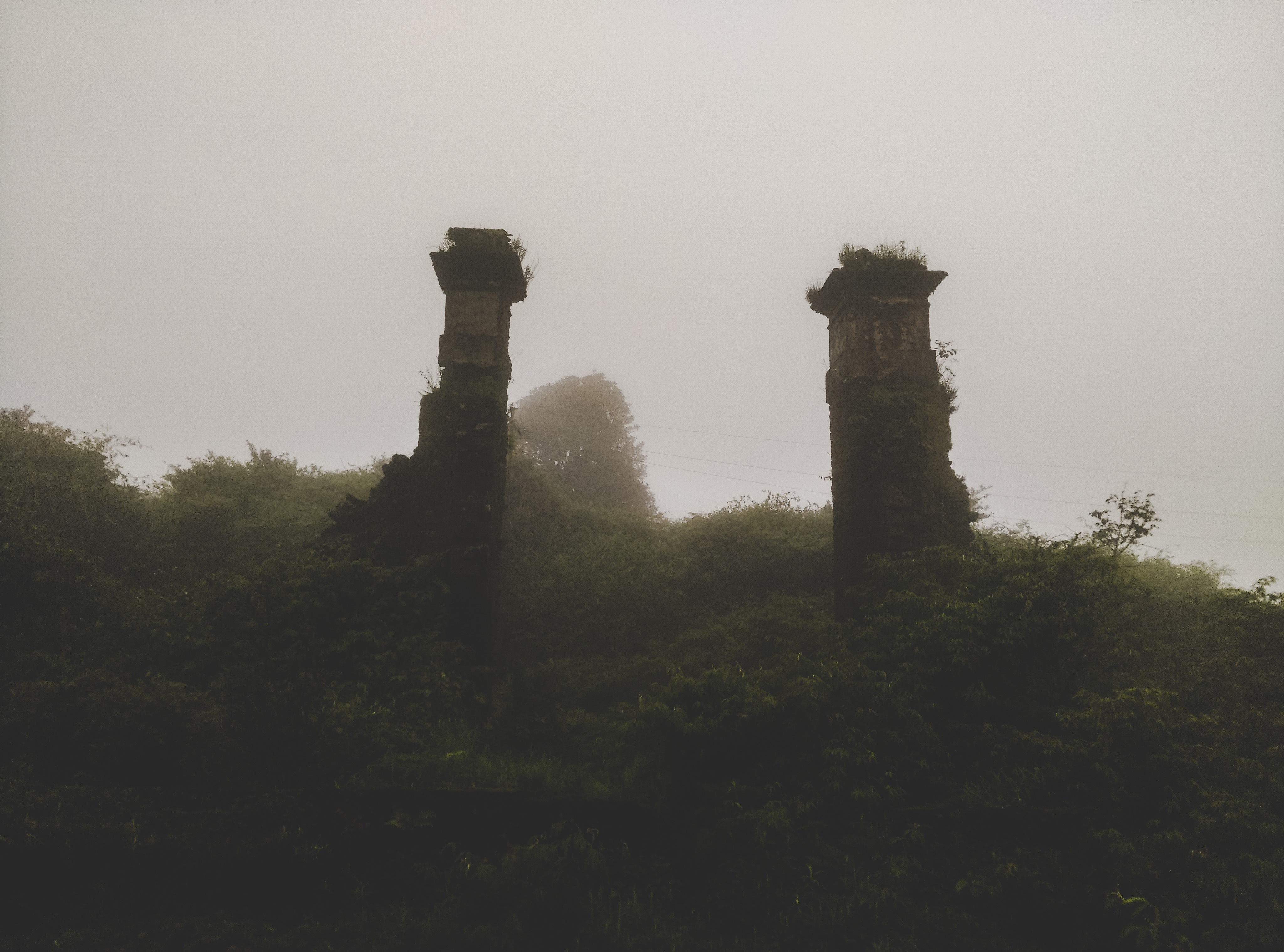 IMG_20160629_050429-Edit