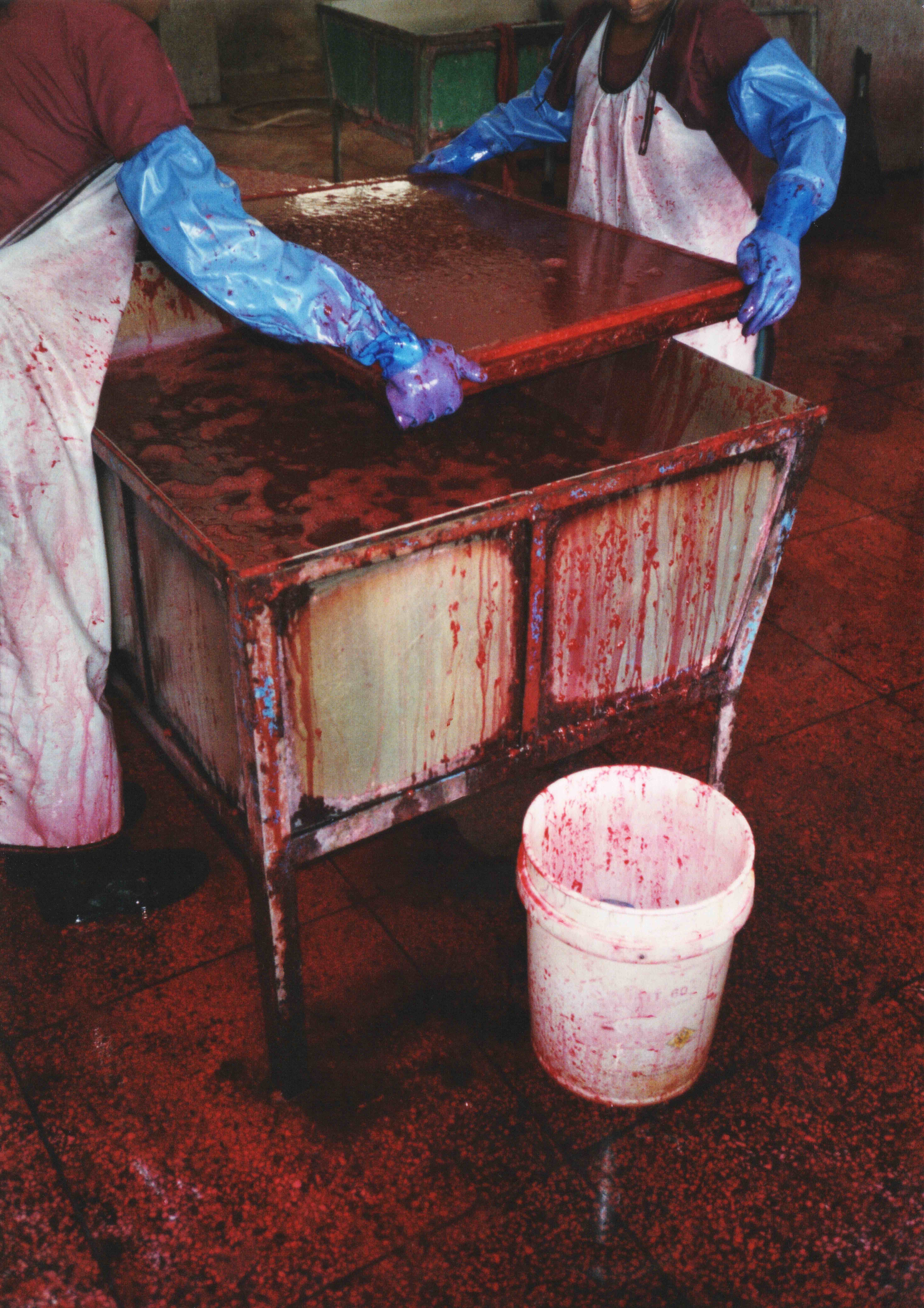 Making Paper, Sreepur