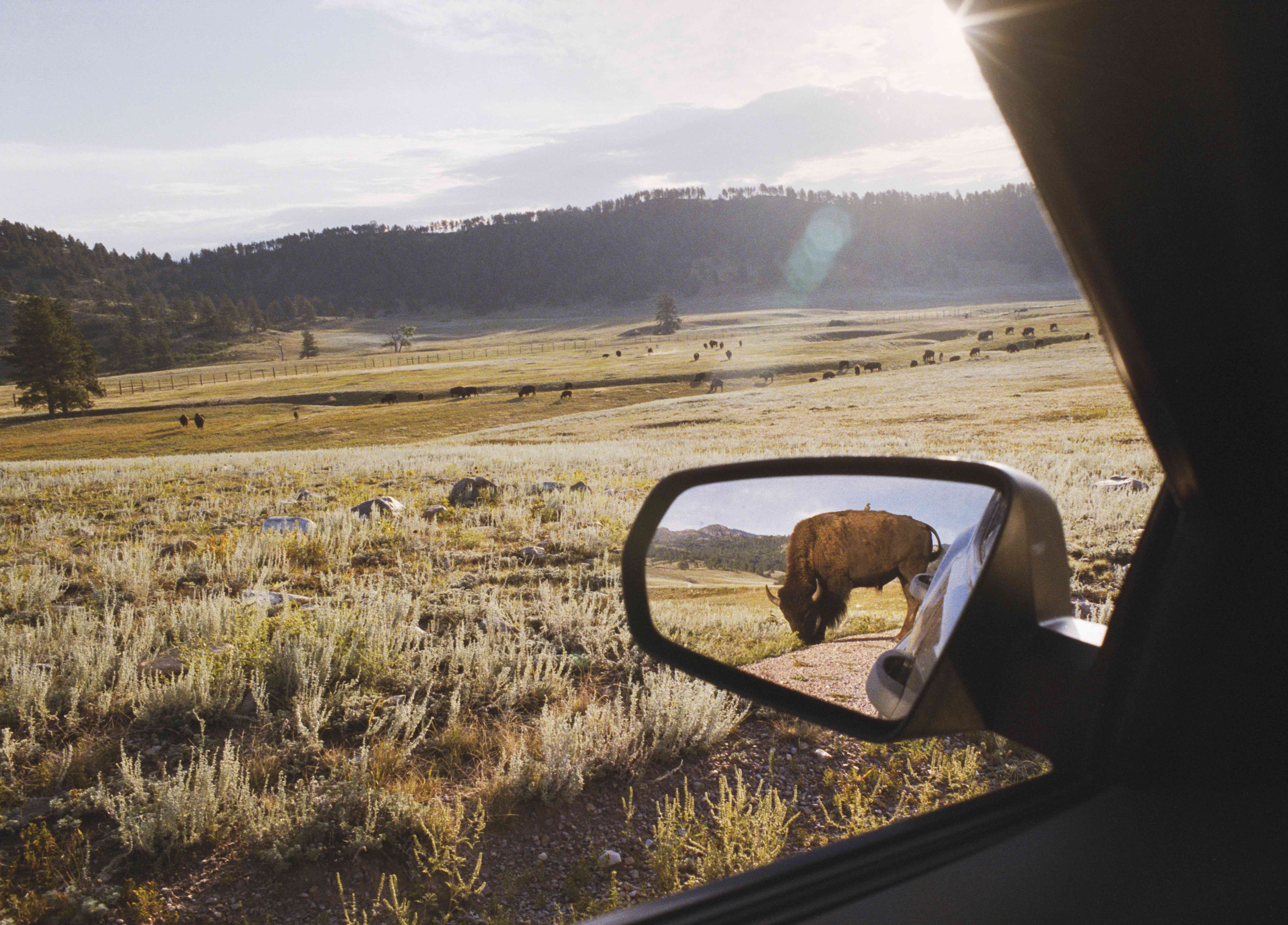 Wind Cave National Park, South Dakota, USA. © Rebecca Norris Webb from Slant Rhymes.