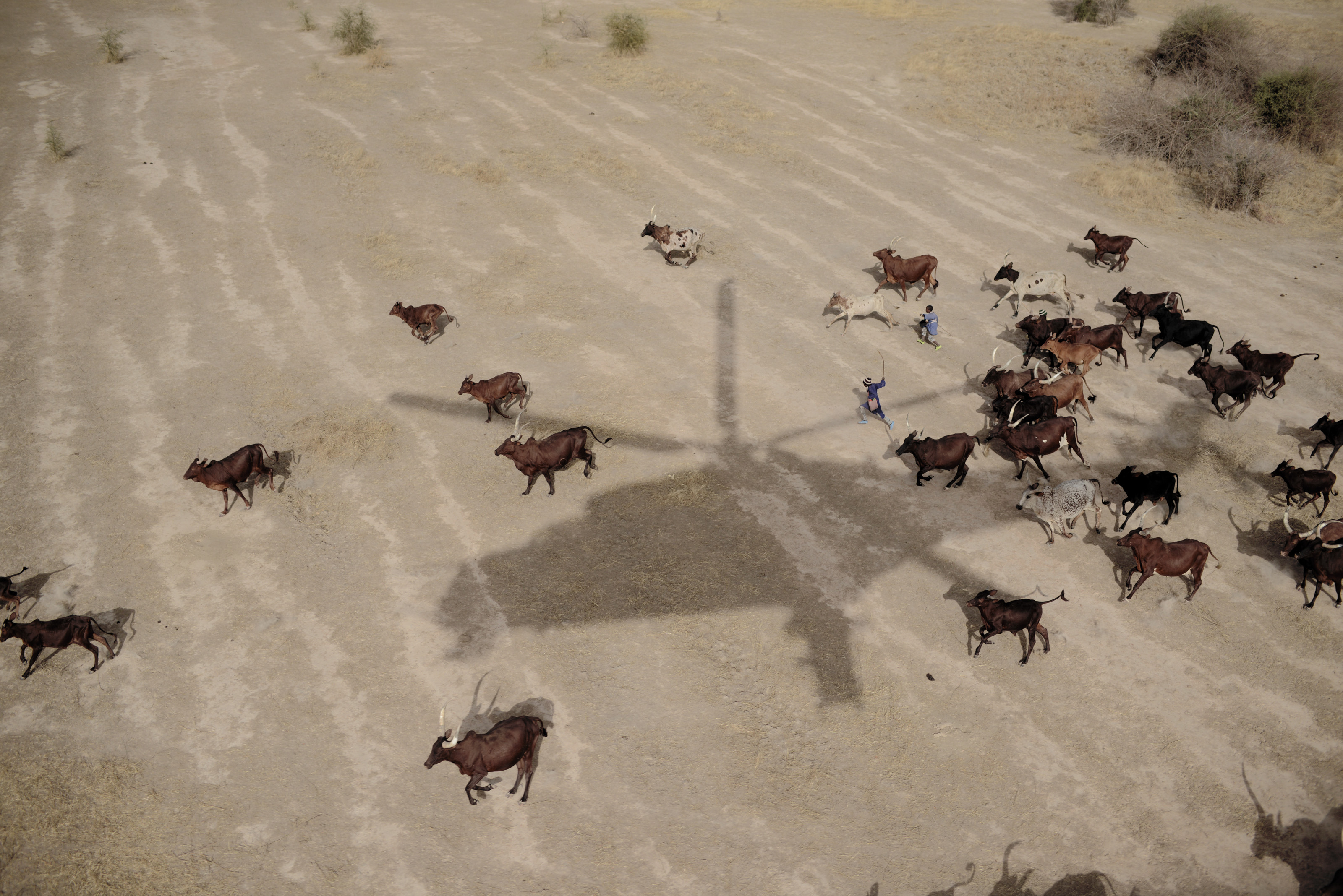 © Benedicte Kurzen / NOOR