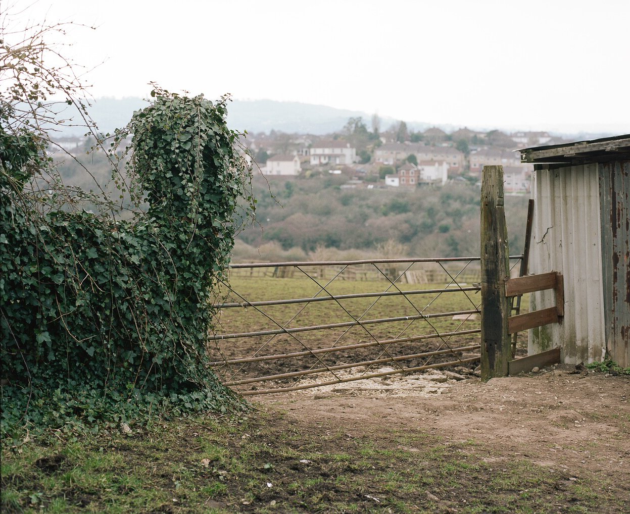 Tom Sussex WTH Novers Hill Landscape