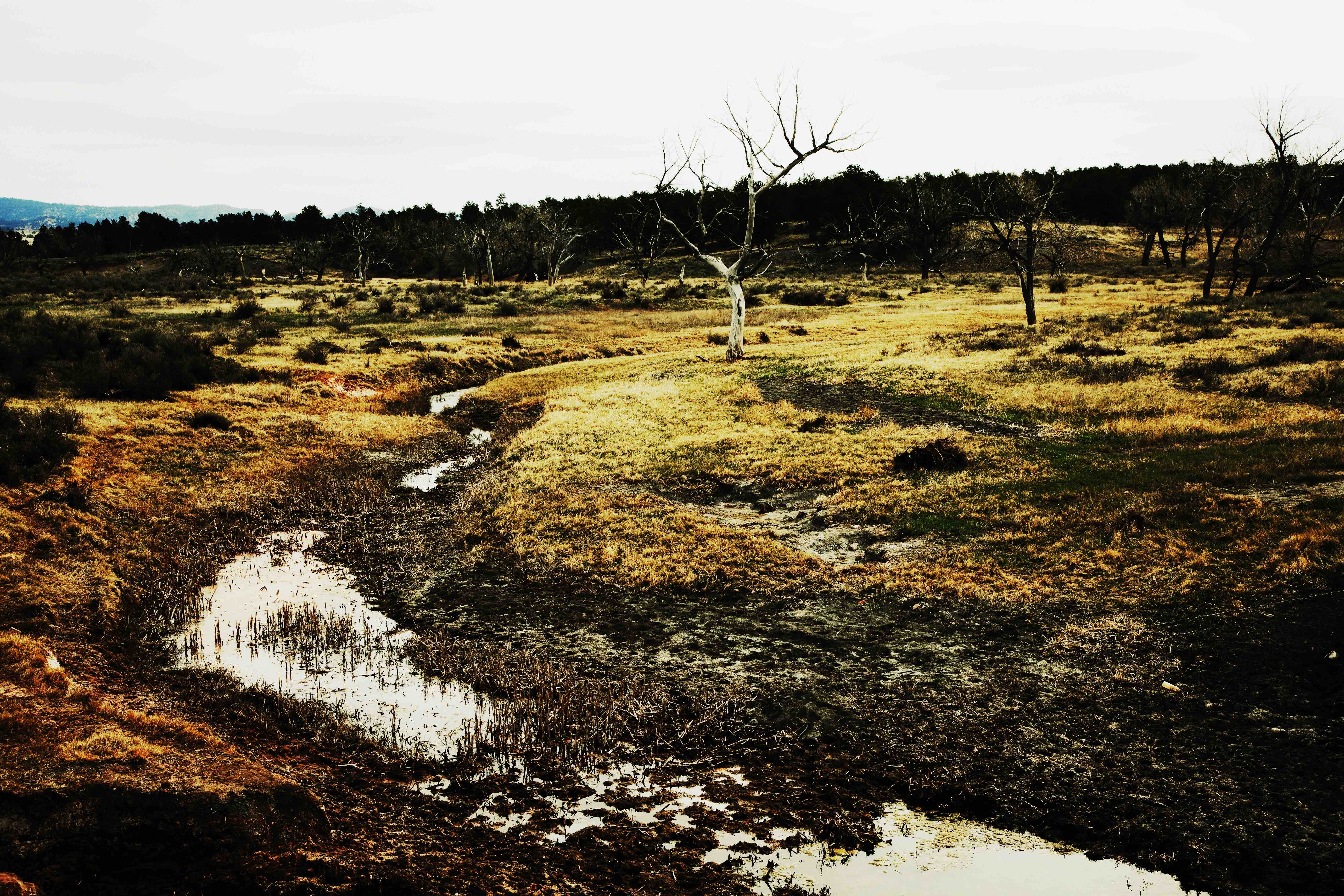 q.sakamaki_B_nation017