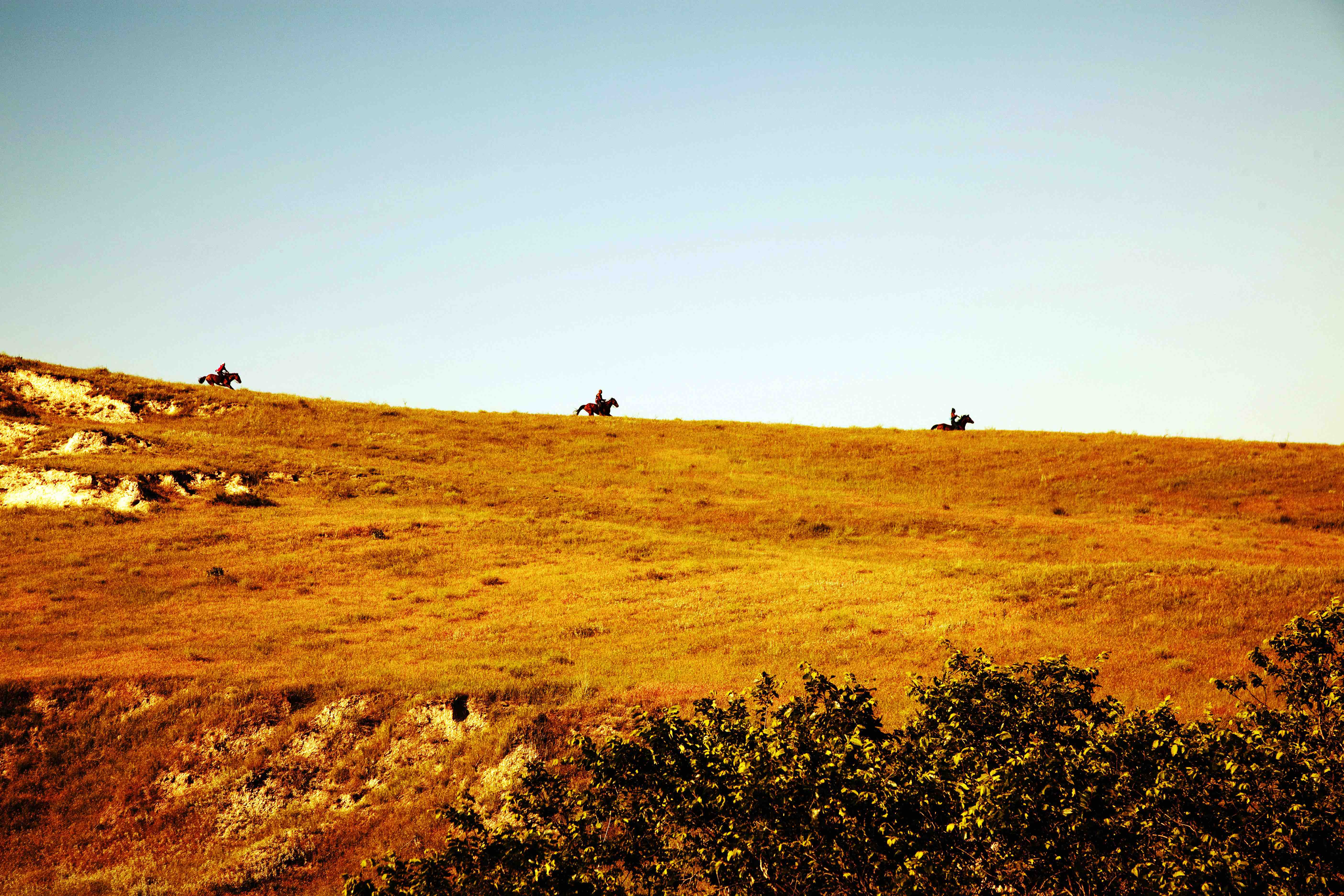 q.sakamaki_B_nation030