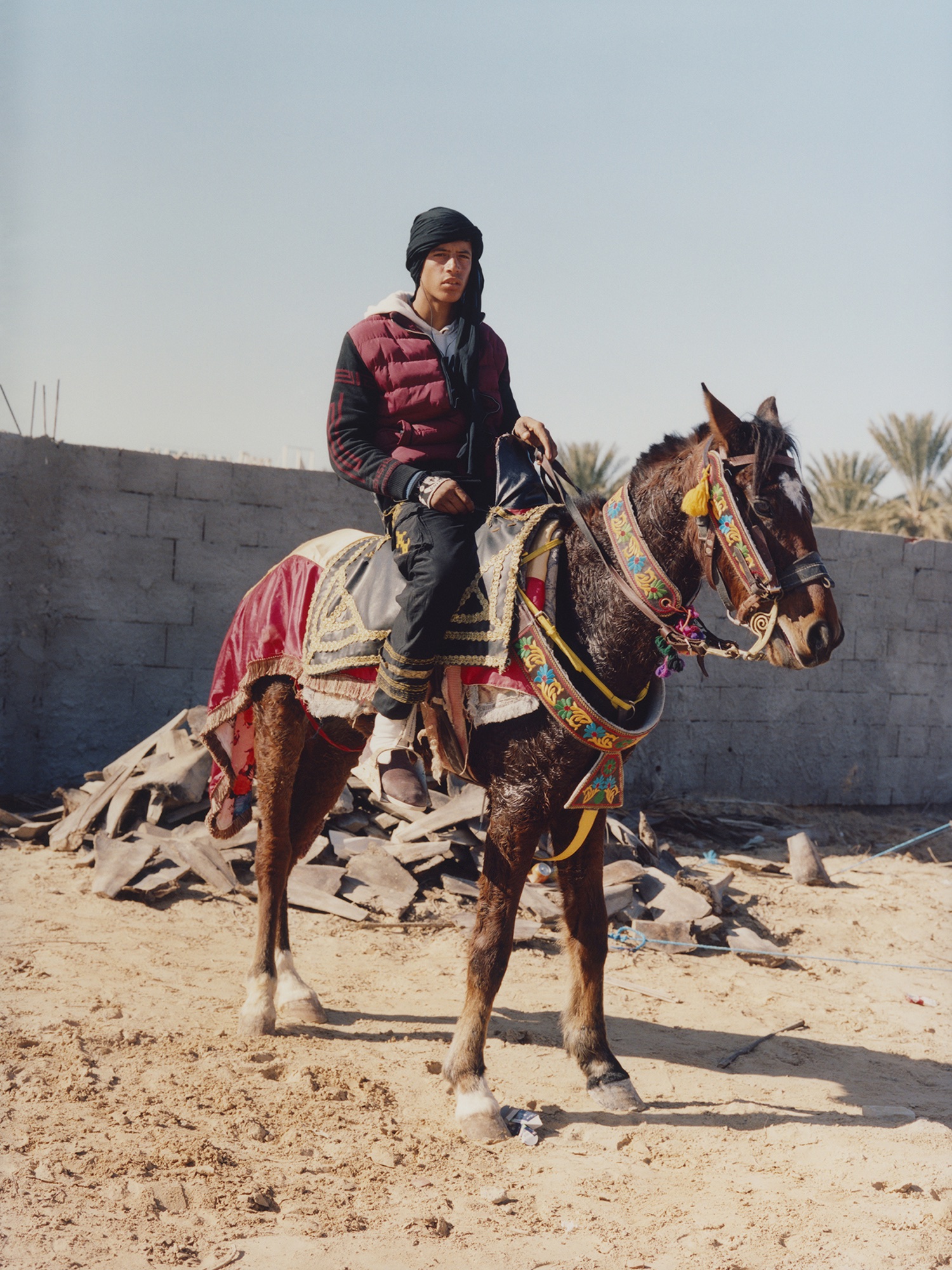その他 The festival in the desert [Import anglais] The Festival of the Sahara: A cultural clash of old and new