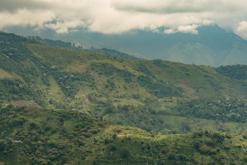 View from the hilltop near the army base in Genova