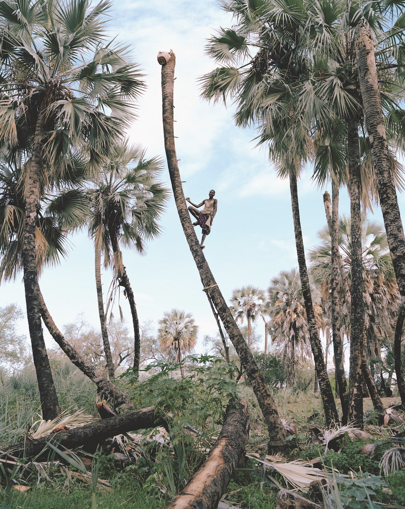 African photographers