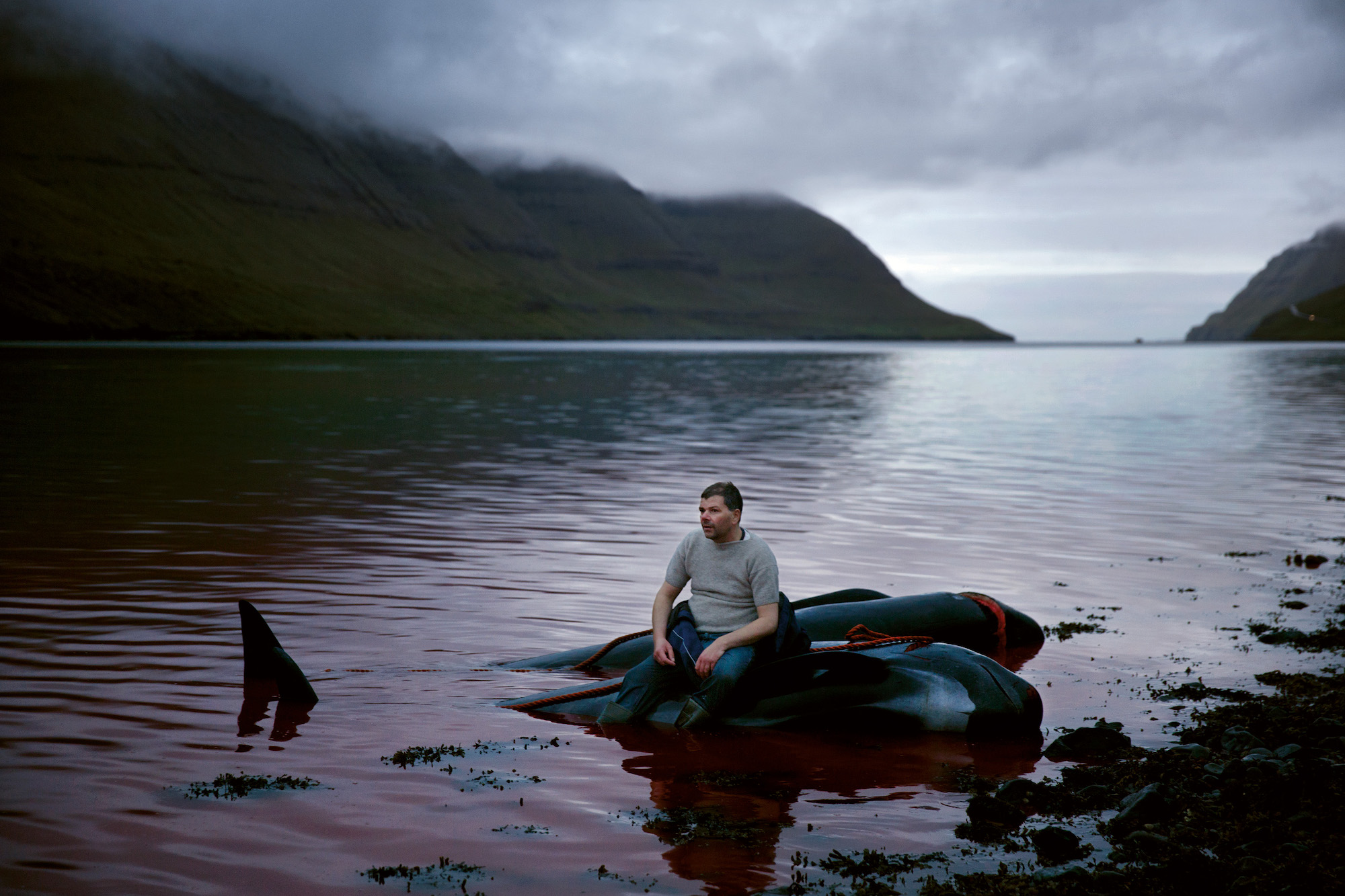 Meet the 'Atlantic cowboys' of the Faroe Islands | Huck